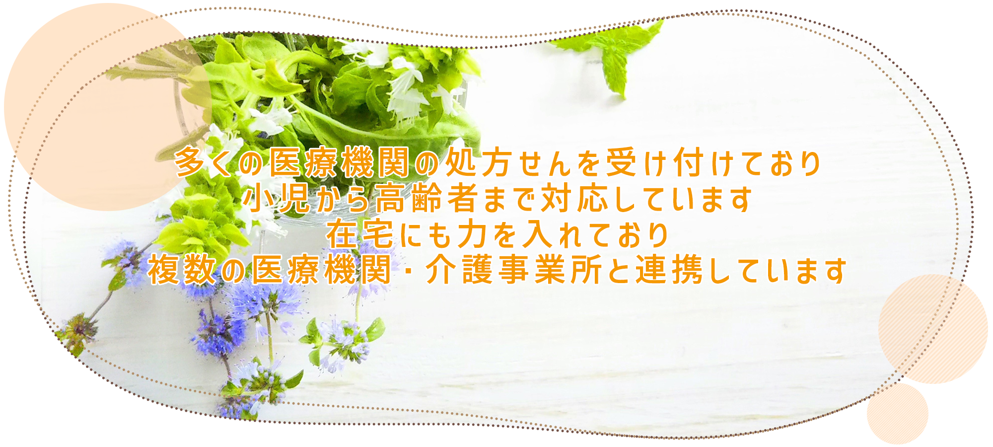 古河市諸川 古河駅 調剤薬局